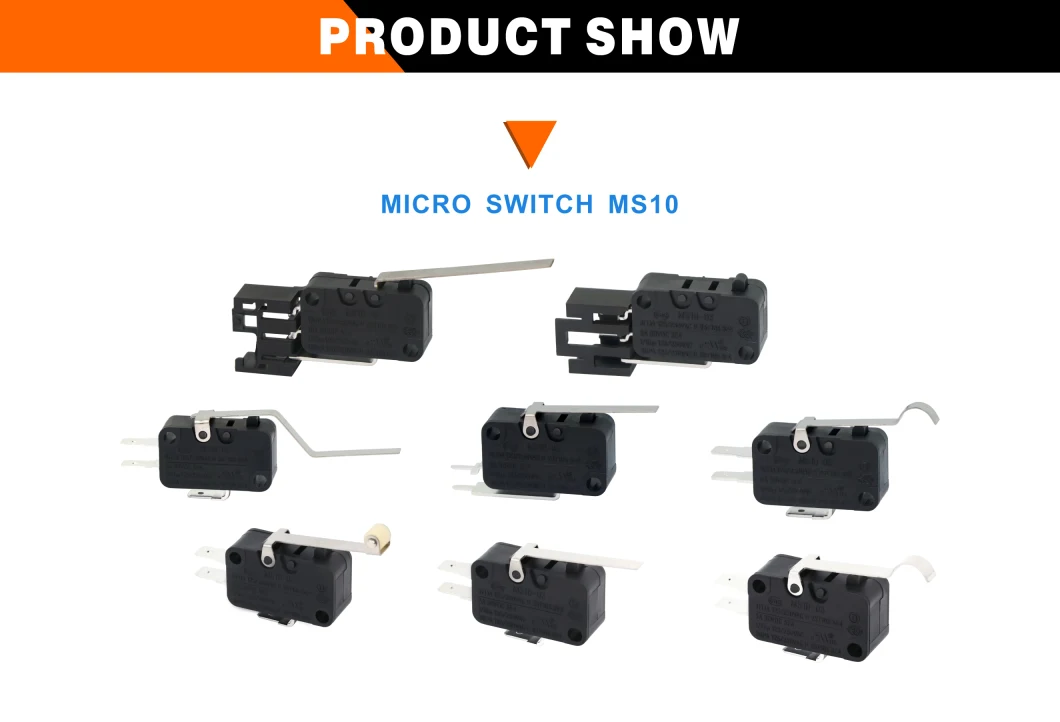 Ms10 Dual Support Point and Stable Itinerary Rice Cooker Micro Switch
