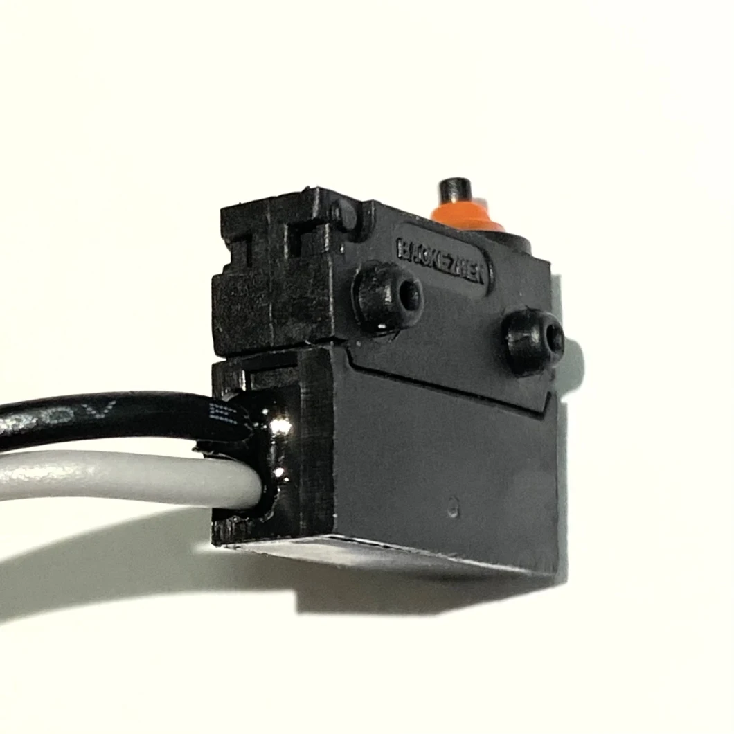 Baokezhen M02 2A 60VDC Waterproof Micro Switch