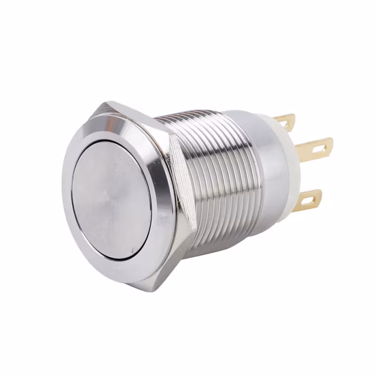 Wdele 16mm Momentary Latching DC 12V LED Waterproof Metal Push Button Switch