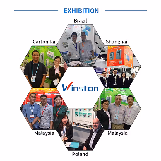 Electrical Waterproof Miniature Double Throw Power Micro Switch with Frame