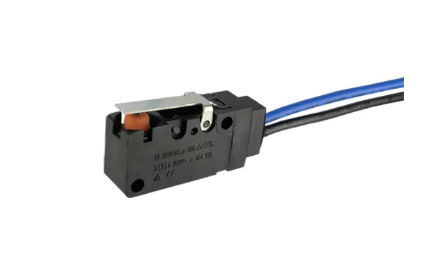 Waterproof Electronic Power Switch Rocker Push Button Snap Action Miniature Micro Switch/Customized Ws2 Waterproof Switch for Air Conditioning